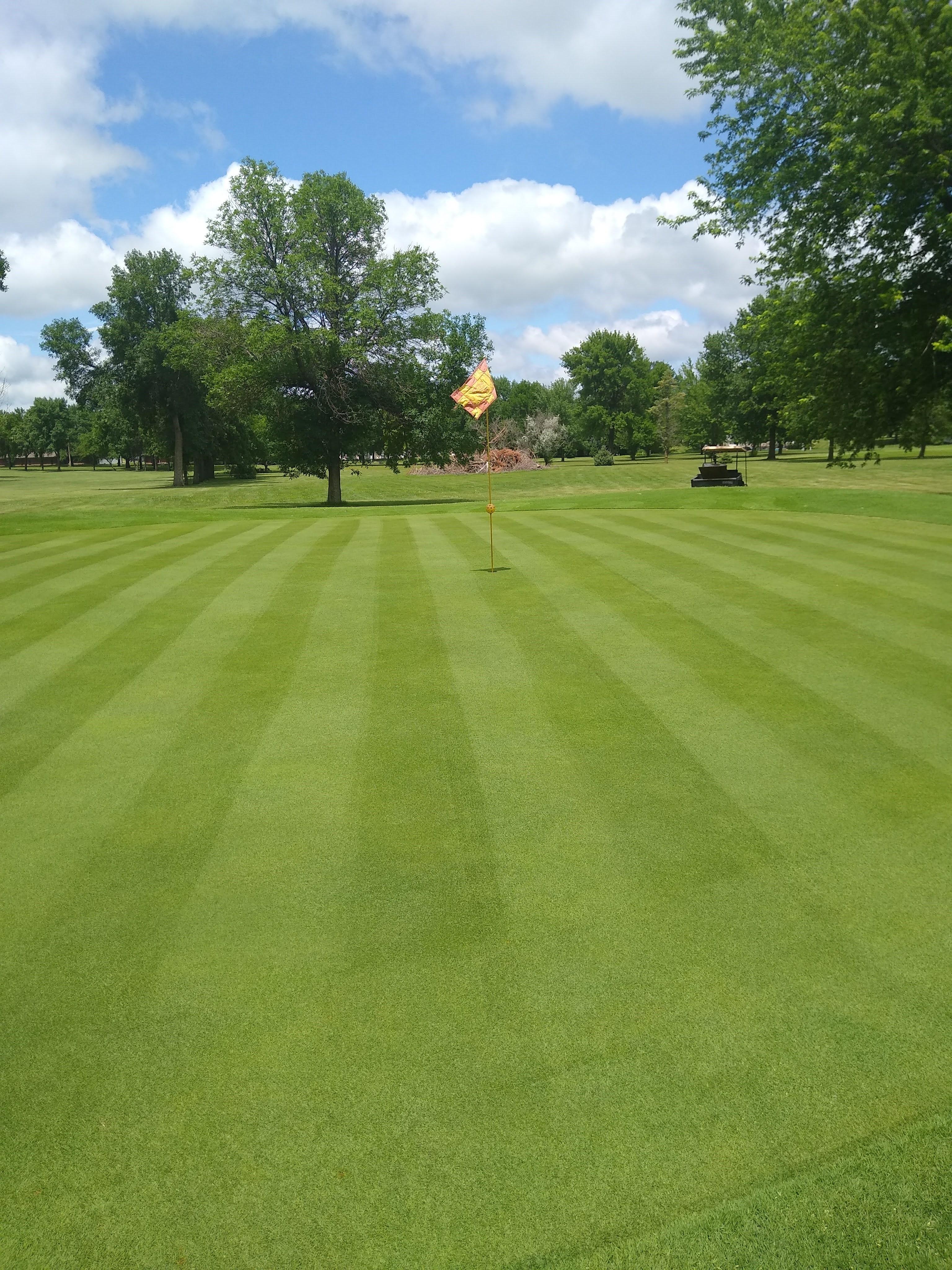Manicured golf course greens