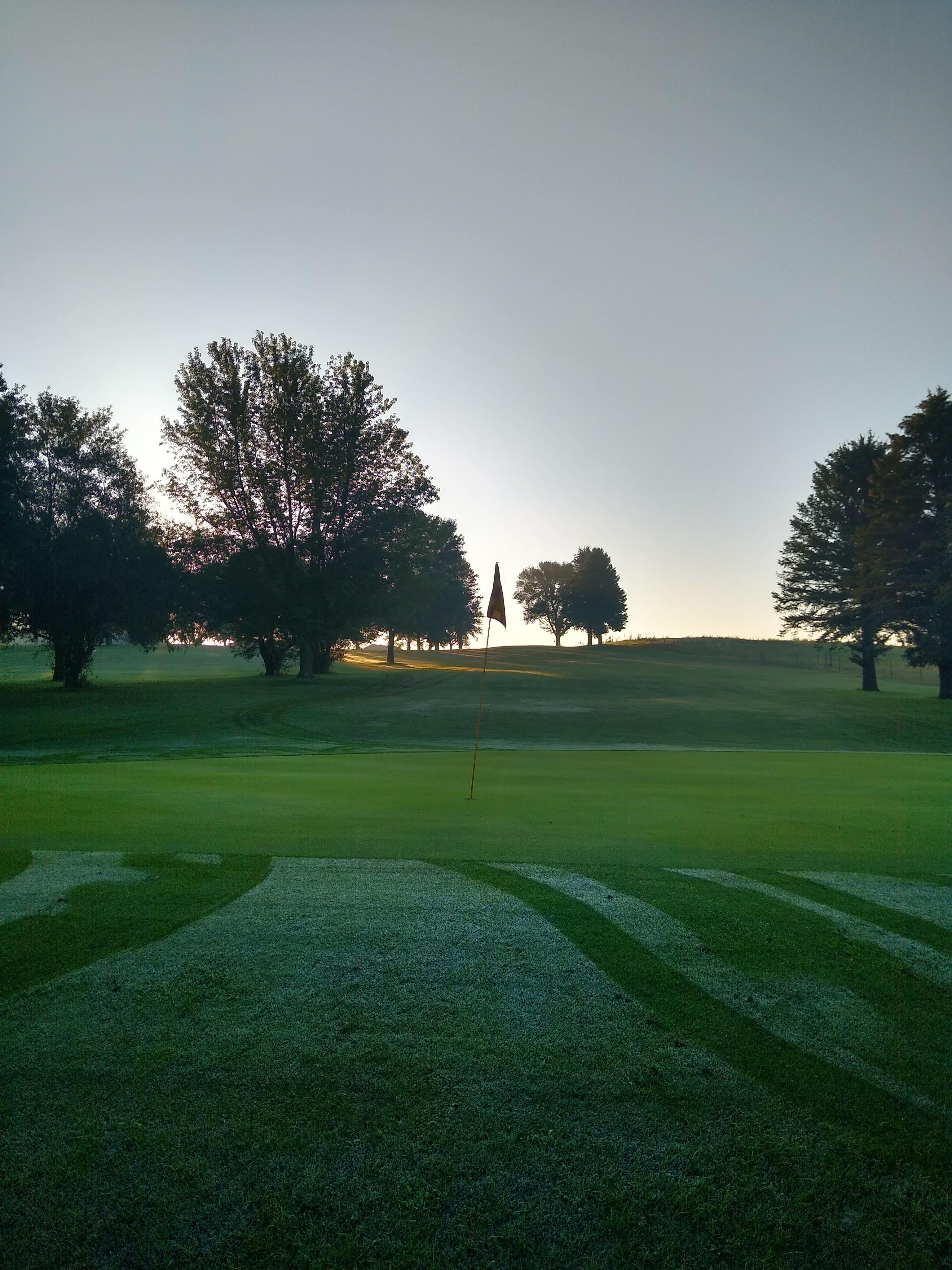Trees on golf course